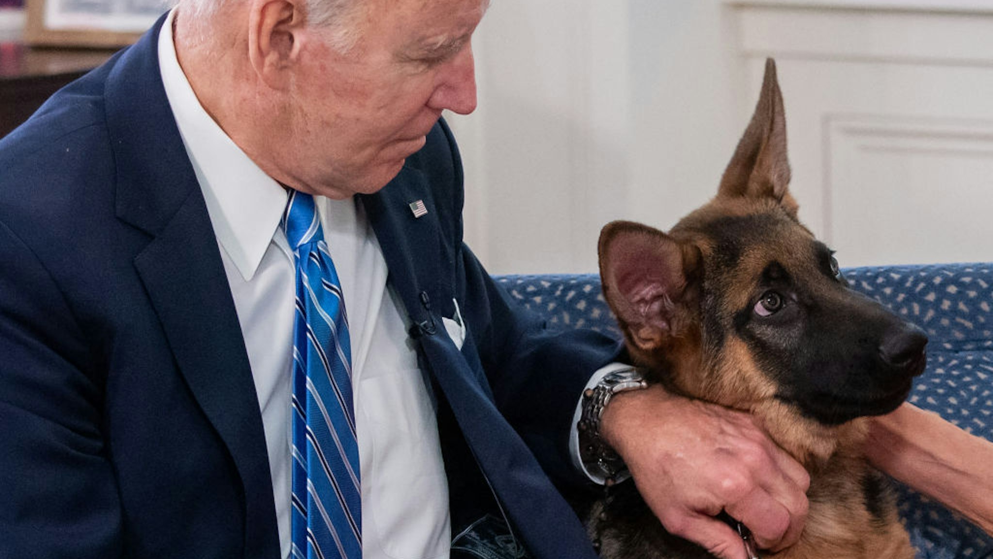 US President Joe Biden pets his new dog Commander as he speak virtually with military service members to thank them for their service and wish them a Merry Christmas, from the South Court Auditorium of the White House in Washington, DC, on December 25, 2021. (Photo by SAUL LOEB / AFP) (Photo by SAUL LOEB/AFP via Getty Images)