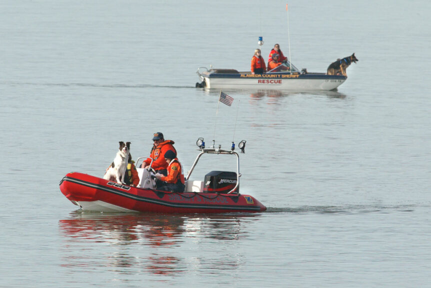 SEARCH1-C-04JAN03-MT-MAC Alameda County Search and Rescue teams used dogs, ( who can detect the gases from a decomposing body through the water) to search the waters off Berkeley Marina in hopes of finding some clue in the case of the missing Modesto woman. 12 days after the disappearance of Laci Peterson of Modesto, Police Agencies from throughout the Bay Area conduct a searh of the Berkeley Marina. by Michael Macor/The Chronicle (Photo By MICHAEL MACOR/The San Francisco Chronicle via Getty Images)