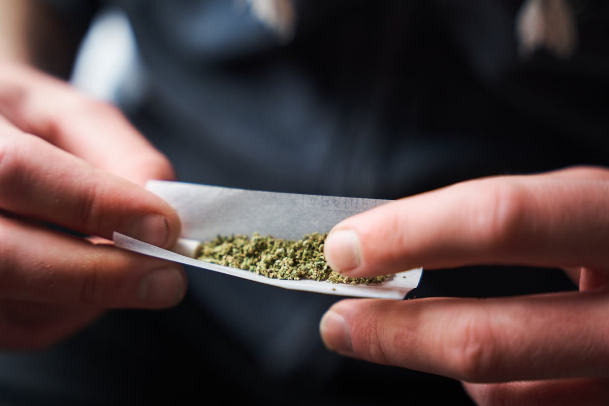 NextImg:New Study Links Marijuana Use To Higher Risk Of Heart Attack, Stroke 