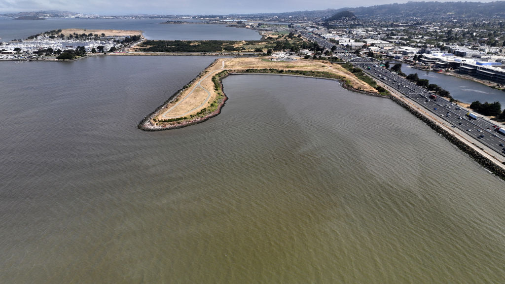 BERKELEY, CALIFORNIA - AUGUST 01: In an aerial view, brownish water is visible in the waters near the Berkeley Marina as an algal bloom grows in the San Francisco Bay on August 01, 2023 in Berkeley, California. The San Francisco Regional Water Quality Control Board has warned that a toxic algae bloom in the San Francisco Bay, similar to one that occurred one year ago and killed tens of thousands of fish, has returned to the Bay. The red tide has turned the bay waters brown in several locations in the Bay Area. So far there have been no reports of the algae impacting wildlife. (Photo by Justin Sullivan/Getty Images)