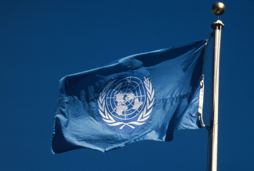 NY School Uses UN to Teach 5th Graders About ‘Equity