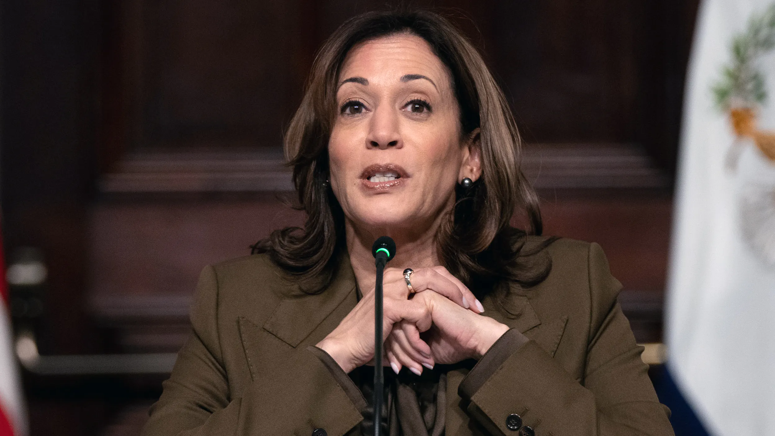 Kamala Harris: Biden Admin Now Paying College Students To Register Voters, Work At Polls
