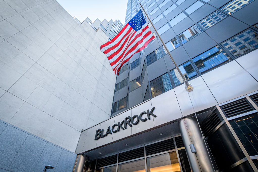 BlackRock acknowledges potential impact on profits from ESG investments