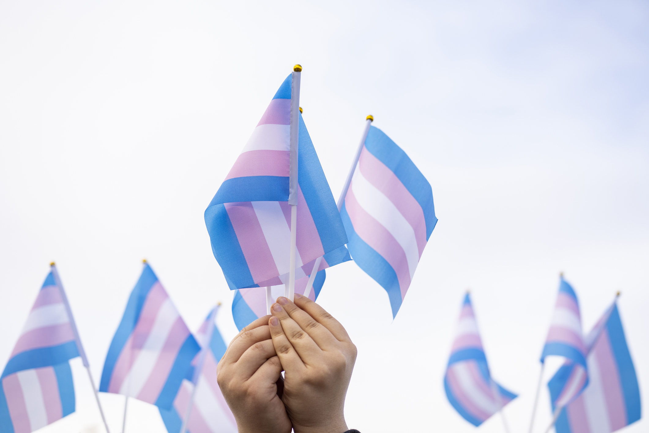Sacramento proclaims itself a sanctuary city for transgender individuals
