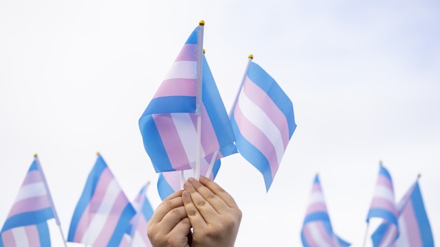 Transgender flags hold by people on a demonstration