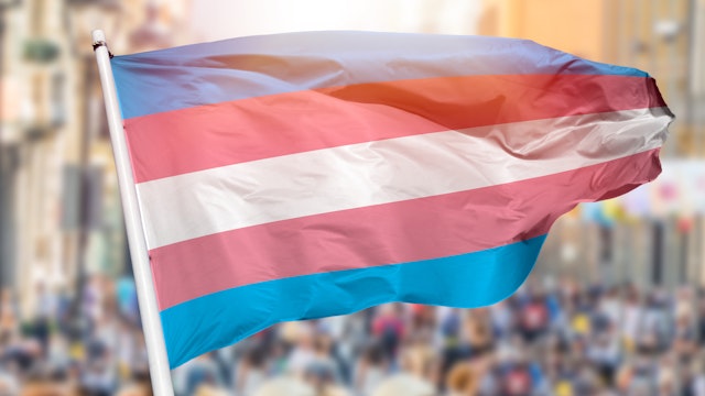 Cunaplus_M.Faba. Getty Images. Shot of the transgender flag blowing in the wind at street