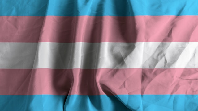 Flag of the Transgender Pride and Social Movement