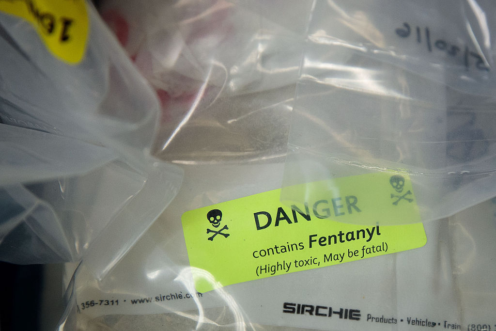 Republican lawmakers outline a dual-step plan to combat the fentanyl crisis