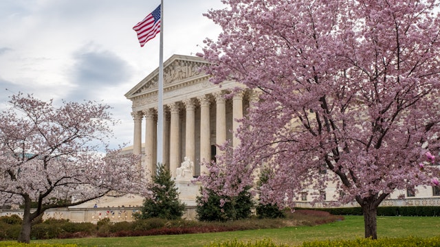 John Baggaley. Getty Images. Cherry blossoms at the Supreme Court on a windy morning in Washington, D.C.