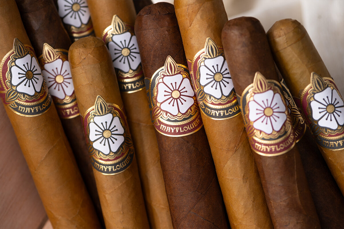 Discover Greatness Again: Mayflower Cigars’ Bestselling Item is Back!