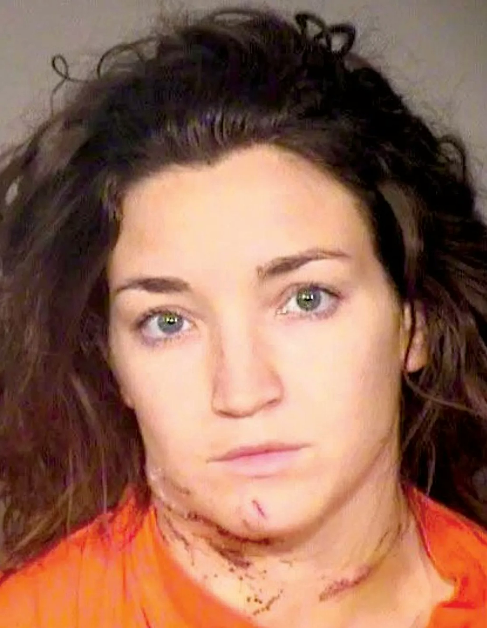 Bryn Spejcher, 33, is appealing the probation and community service sentence she received after stabbing her boyfriend 108 times, resulting in his death.