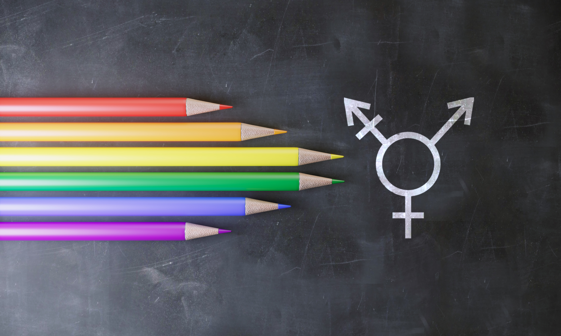Educators receive gender and sexuality coaching at progressive Illinois Math Academy