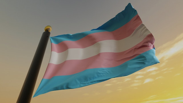 Flag of the Transgender Pride and Social Movement.