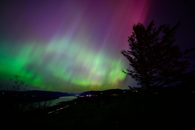 LATOURELL, OREGON - MAY 11: The Northern Lights are seen above the Columbia River Gorge from Chanticleer Point Lookout in the early morning hours of May 11, 2024 in Latourell, Oregon. Places as far south as Alabama and parts of Northern California were expected to see the aurora borealis, also known as the northern lights from a powerful geomagnetic storm that reached Earth.