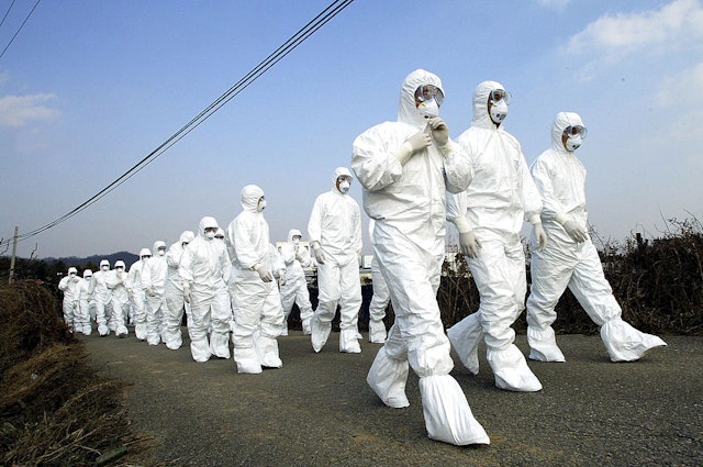 CHEONAN, SOUTH KOREA - DECEMBER 22: South Korean soldiers and national veterinary and quarantine service personnel on their way to bury hundreds of carcasses at a duck farm affected by a highly pathogenic avian influenza on December 22, 2003 in Cheonan, southeast of Seoul. Nearly a million chickens and ducks will be slaughtered across South Korea to combat a highly contagious strain of bird flu outbreak that has spread across the country and could also infect humans, the government said on Monday. (Photo by Chung Sung-Jun/Getty Images)