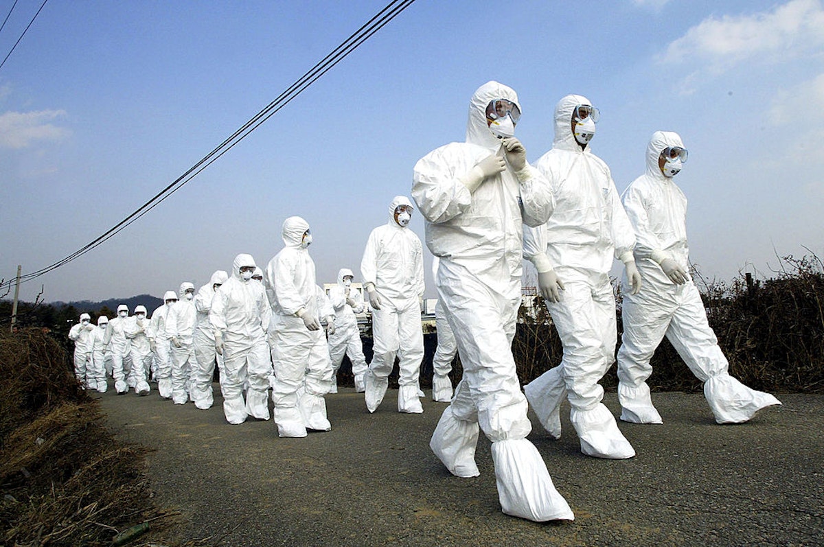 The ‘Experts’ Push Bird Flu As The Next Pandemic — Just In Time For The