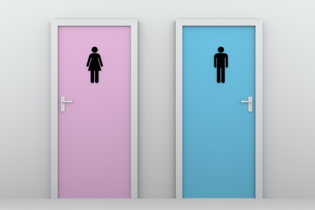 toilet doors for boys and girls. Male and female pictograms