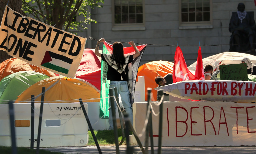 Harvard Community Letter: 500 Signatures Demand Consequences for Protest Encampment