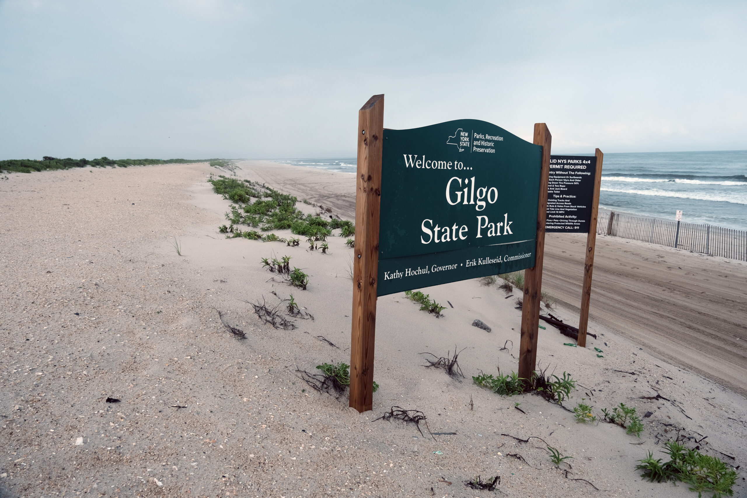 Suspect in Gilgo Beach Serial Killer Case to Face Charges for Fifth Murder: Sources