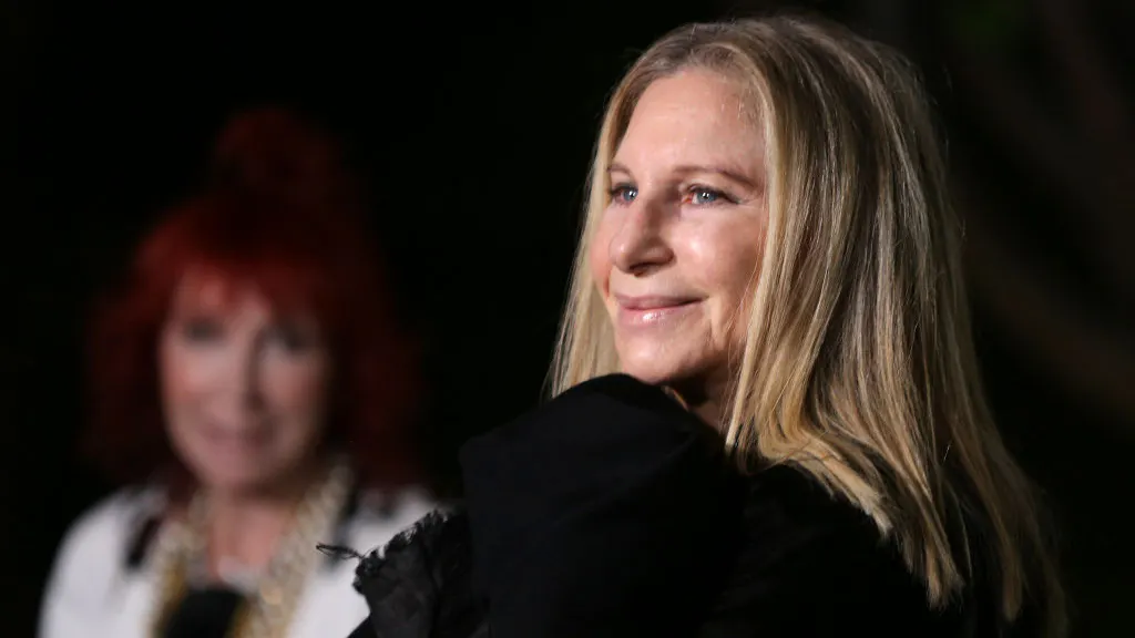 ‘Literal Streisand Effect’: Singer’s Desperate Attempt To Direct People Away From NY Post Backfires