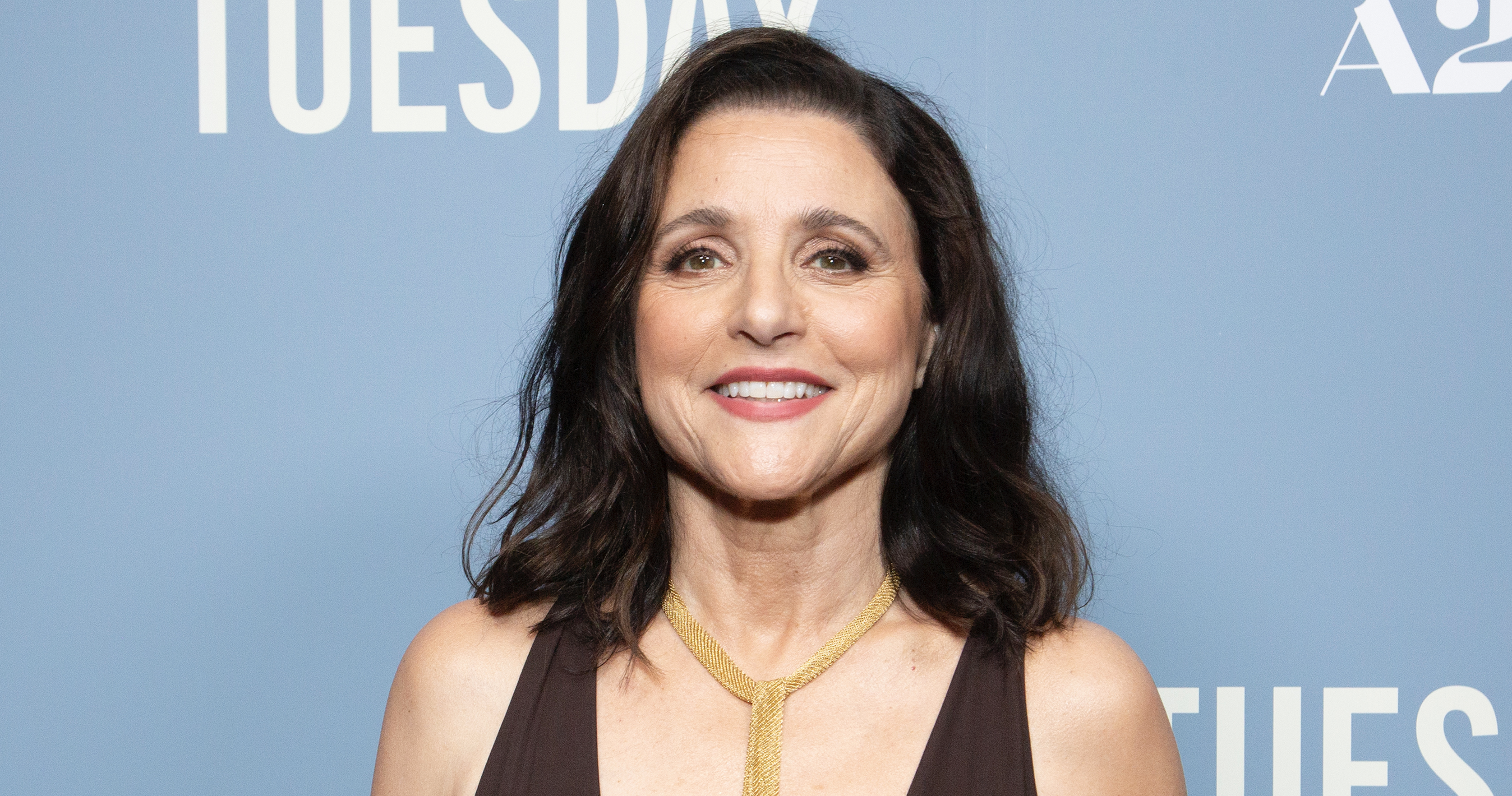 Julia Louis-Dreyfus views complaints about PC culture as a ‘red flag’ and advocates for greater sensitivity