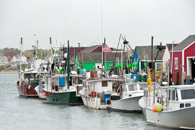 Lobstering boats tied to a pier in Portland, Maine. KenWiedemann. Getty Images.