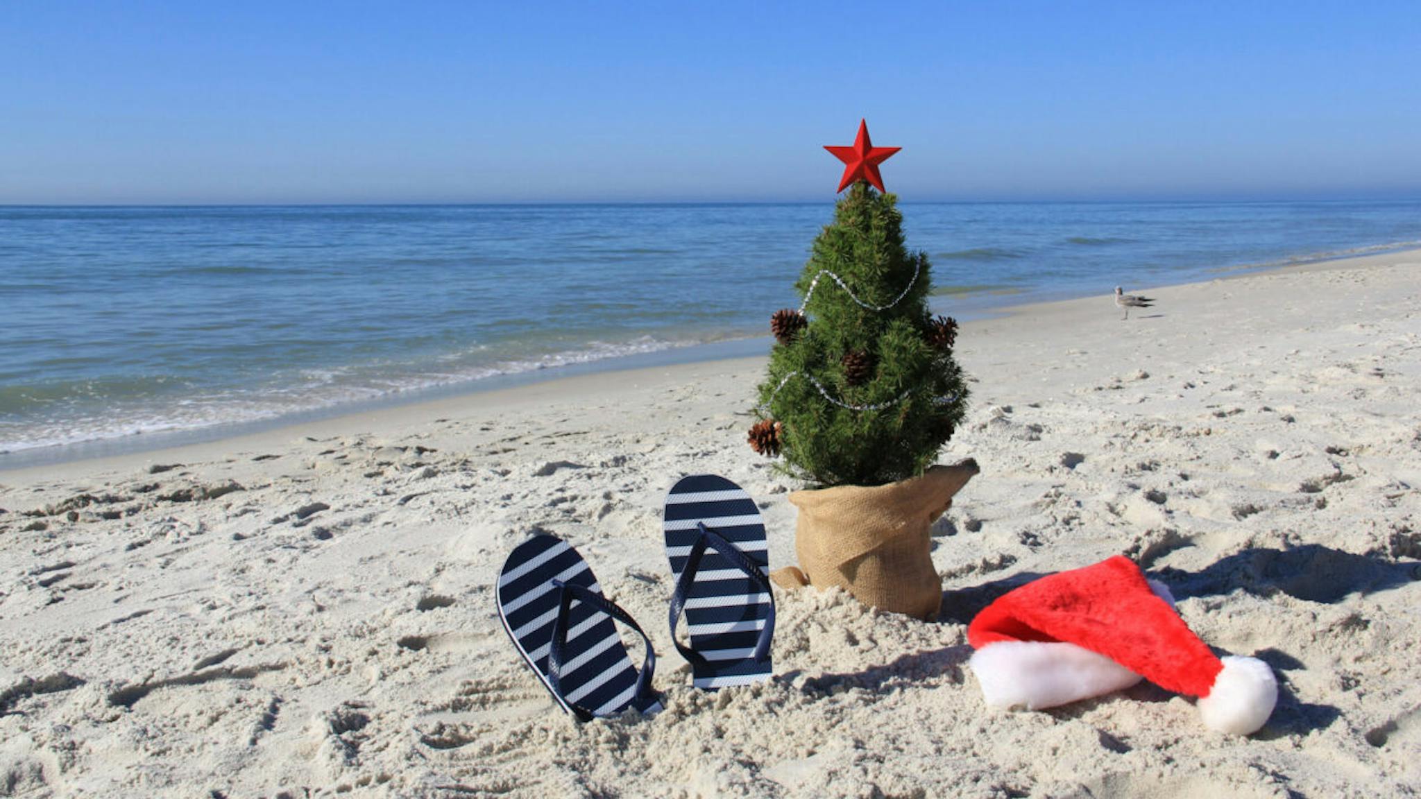 Santa was here. Decorated Christmas tree on the beach with Santa hat and flip-flops A real pine tree on a beautiful sandy beach with Santa's hat and pair of shoes