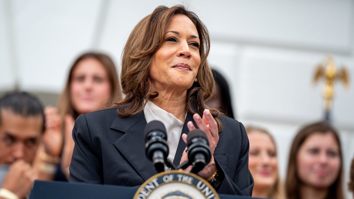 NextImg:Harris Declares Herself To Be The Democrats’ Presumptive Nominee After Securing Delegates With No Voting