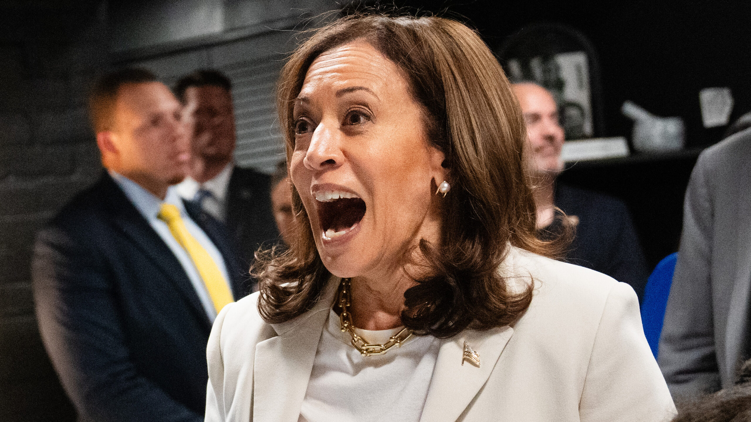 Democrats Raise Staggering Sum Of Money After Kamala Harris Launches Campaign