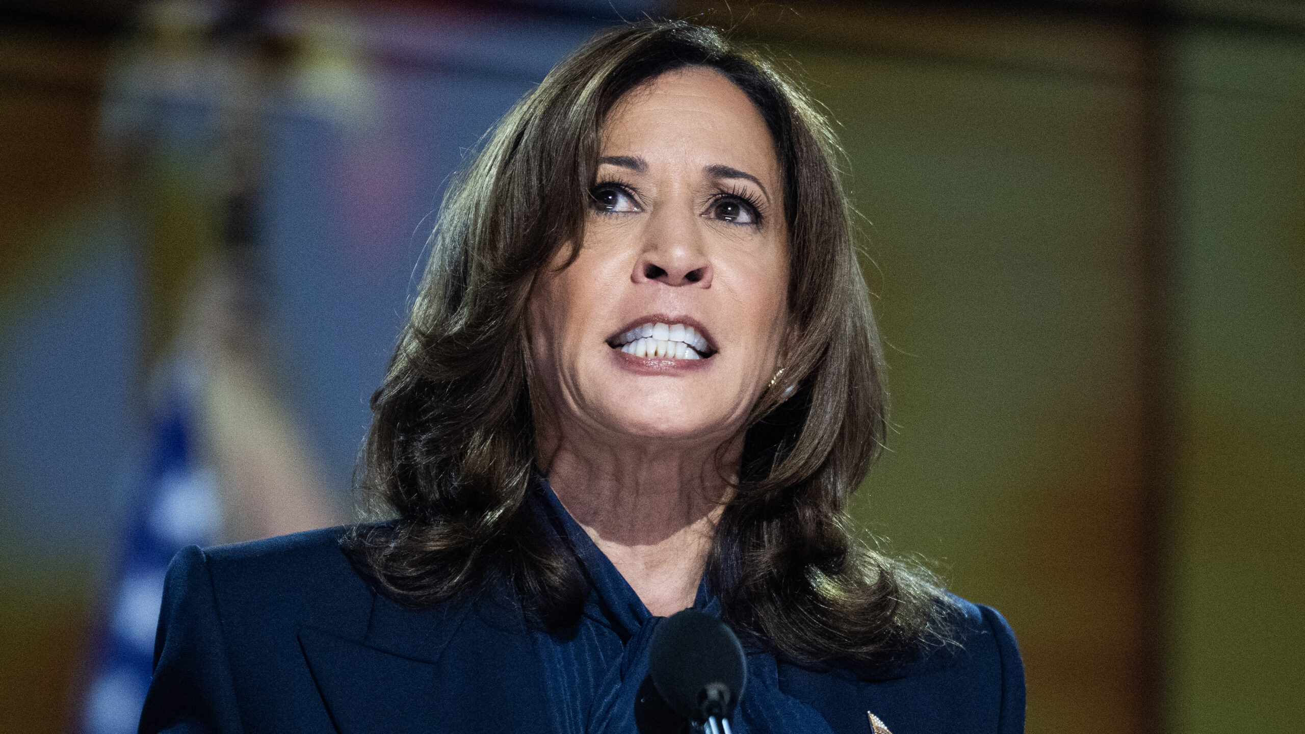 Gold Star Families Blast Kamala Harris For ‘Heinous, Vile, Disgusting Post’ Attacking Trump