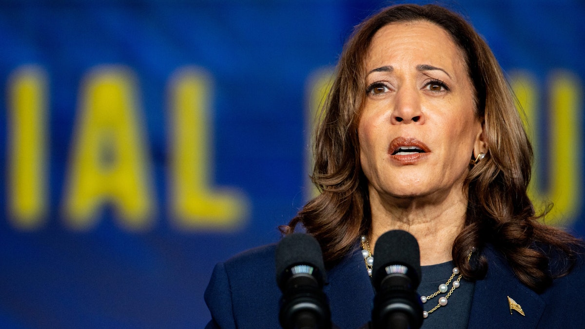 Democrat Strategist Tells Party To Get 'Sober' Over Harris: Excitement Over Her Is 'Irrational Exuberance'