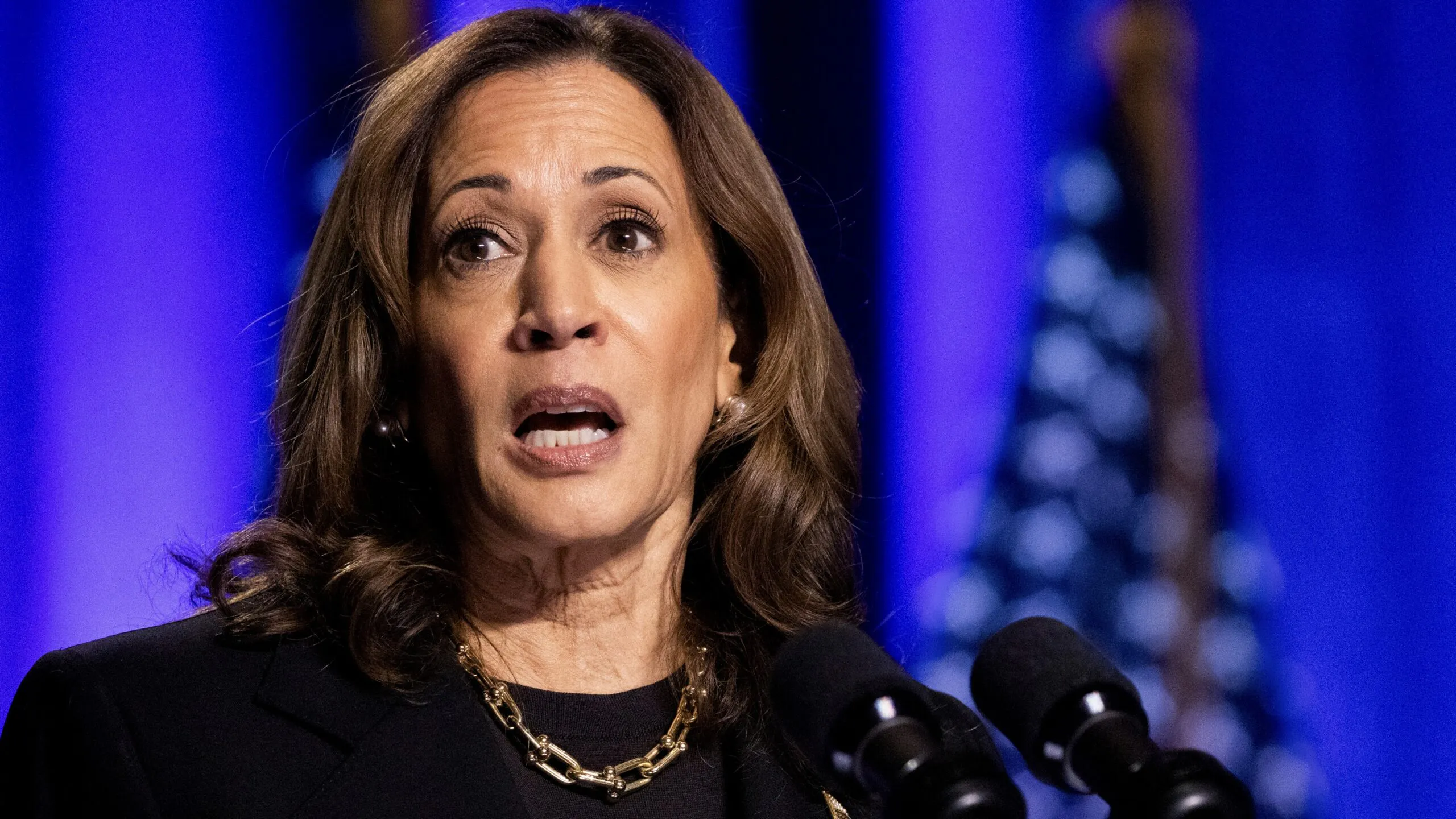 Kamala Harris Stumped When Asked How She’ll Pay For Her Agenda If GOP Controls Senate