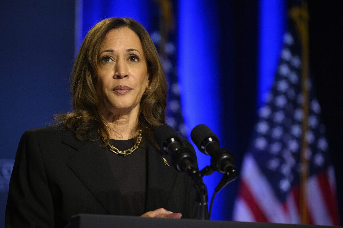 NextImg:MI Dem Senate Candidate Warns Internal Polling Shows Kamala ‘Underwater’ In State