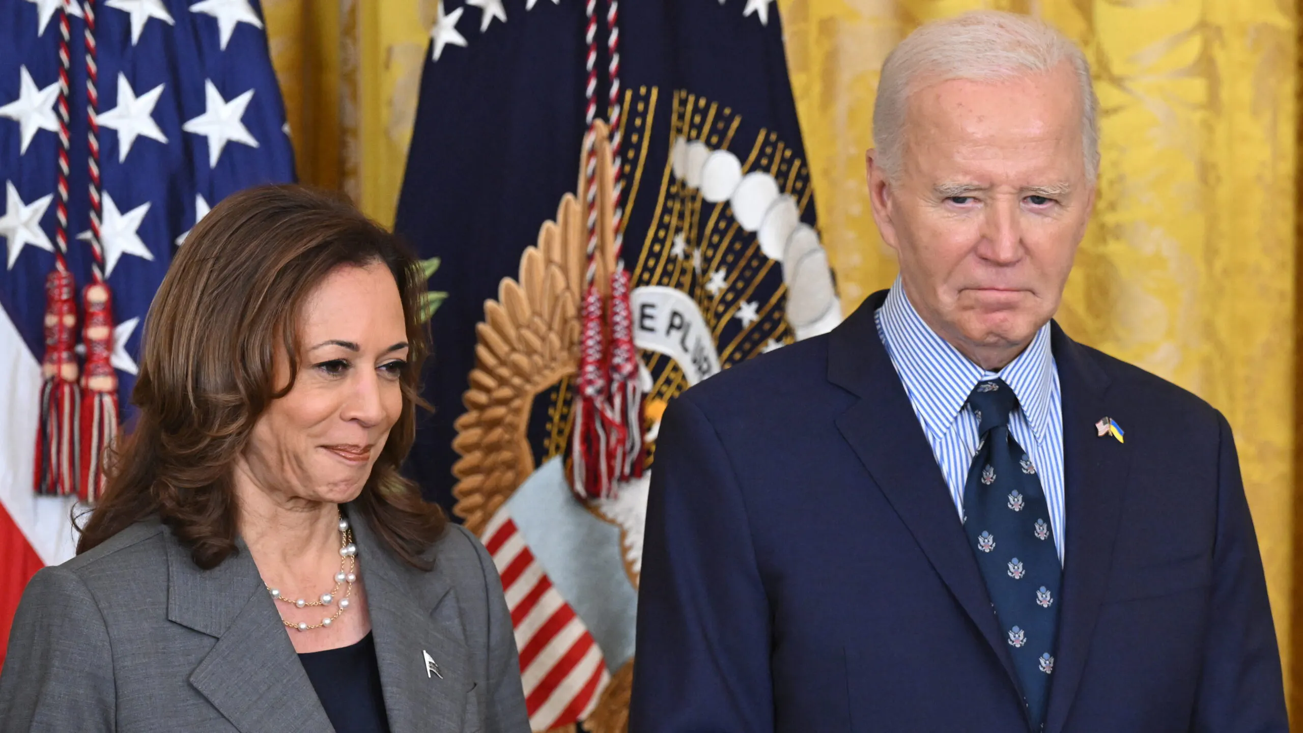 Green Energy Company’s $1 Billion Government Loan At Risk Due To Cash Shortage