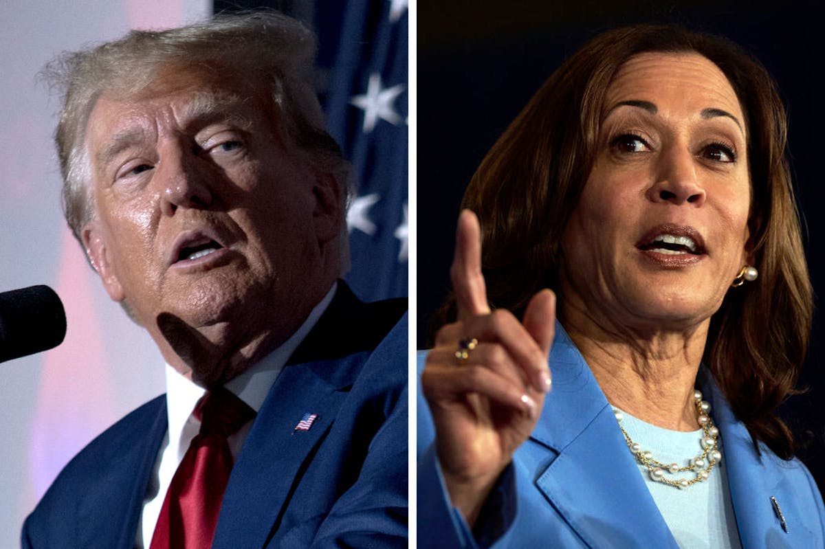 NextImg:‘Not Encouraging’: NYT Warns Kamala In Trouble As Poll Finds Her Tied With Trump