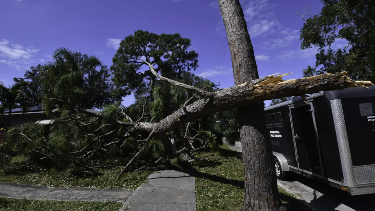 WATCH: How Many Government Employees Does It Take To Move One Small Log?