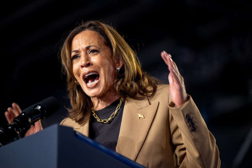 ‘How Does One Vote For Someone This Dishonest?’ After Sinwar’s Death, Kamala Blasted For Bragging