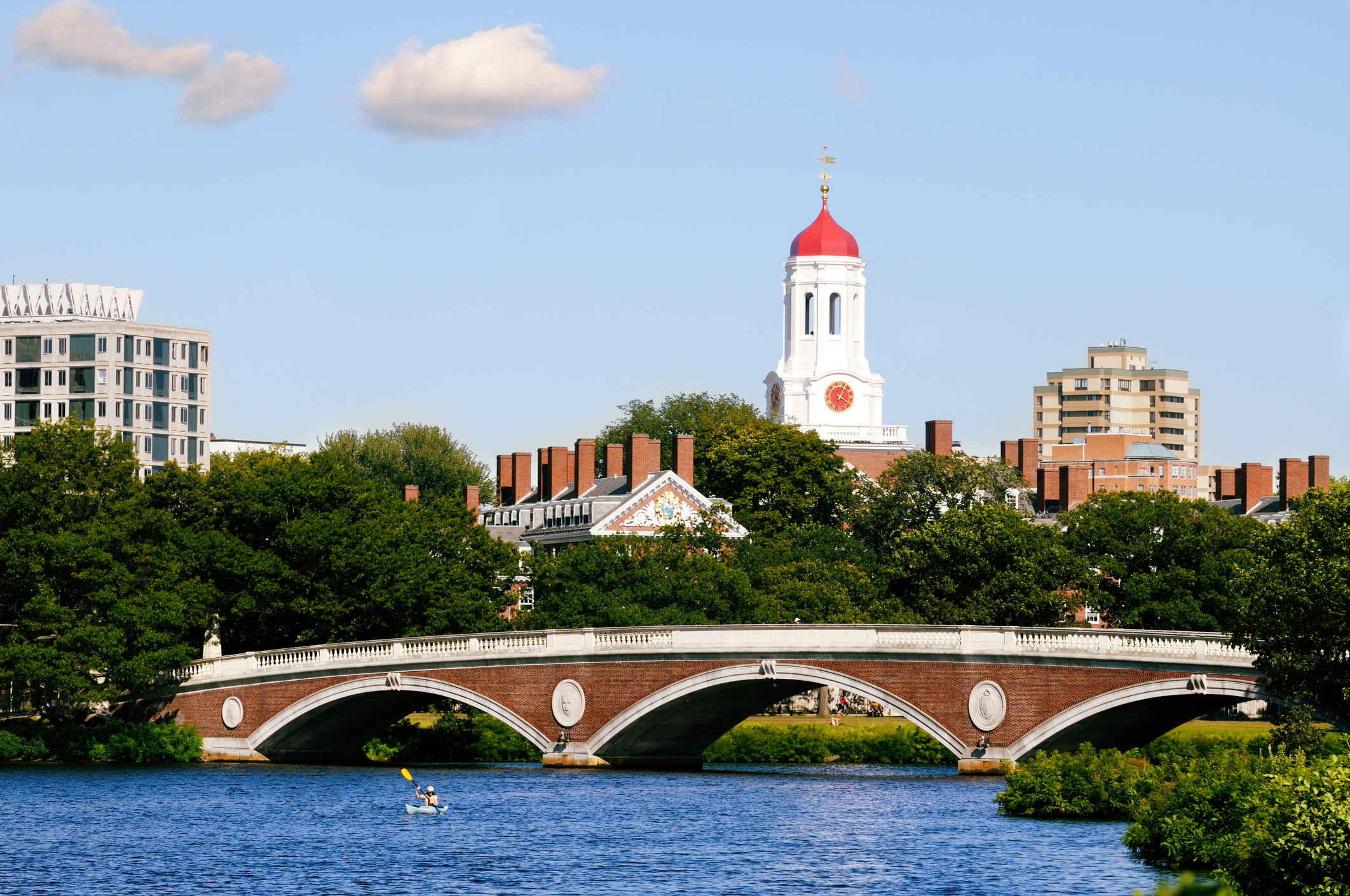 I’m President Of The Harvard Republican Club. Being Republican At Harvard Has Never Been Better.