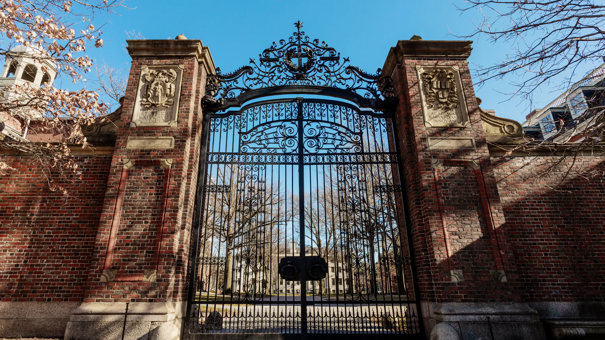 The Collapse Of The Elitists