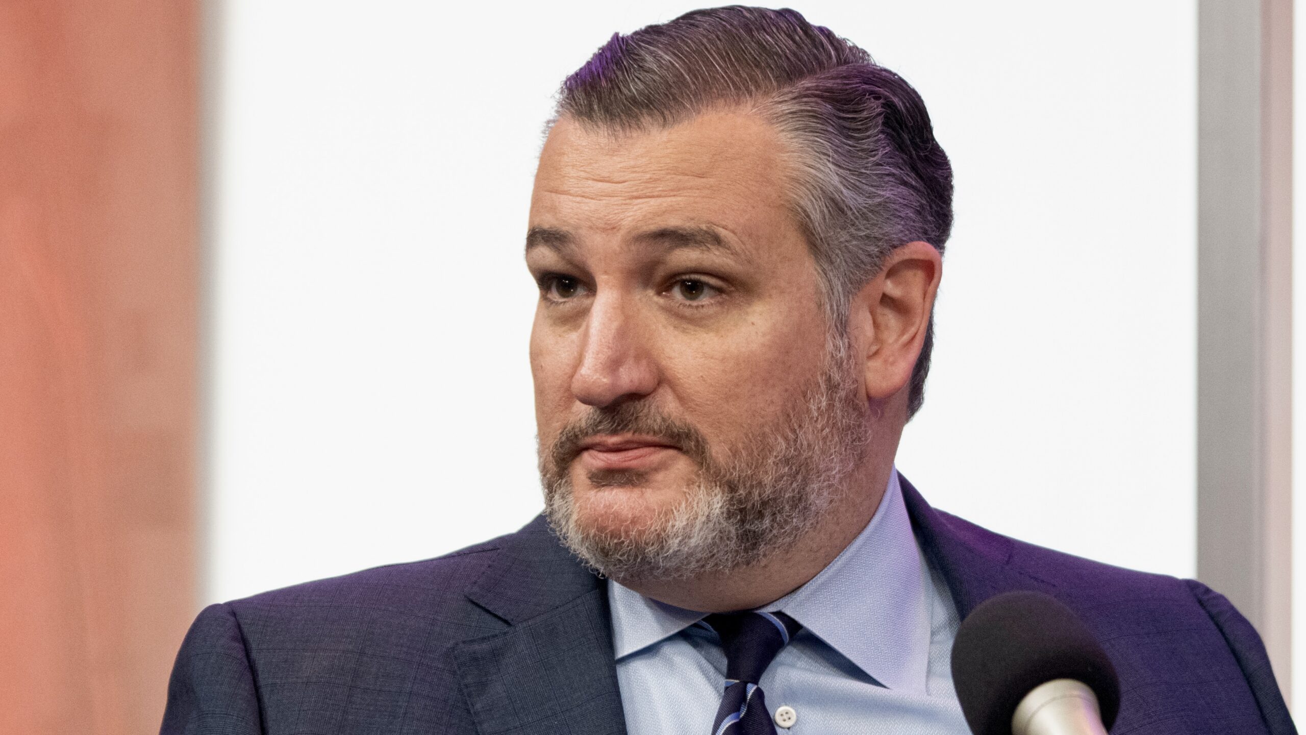 Ted Cruz: Republicans Gave Democrats An ‘A** Kicking Across the Board’ In 2024