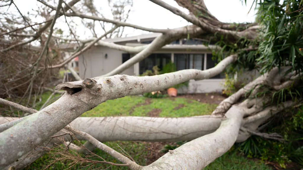 DeSantis, House GOP Investigating FEMA After Official Told Relief Workers To Ignore Trump Supporters