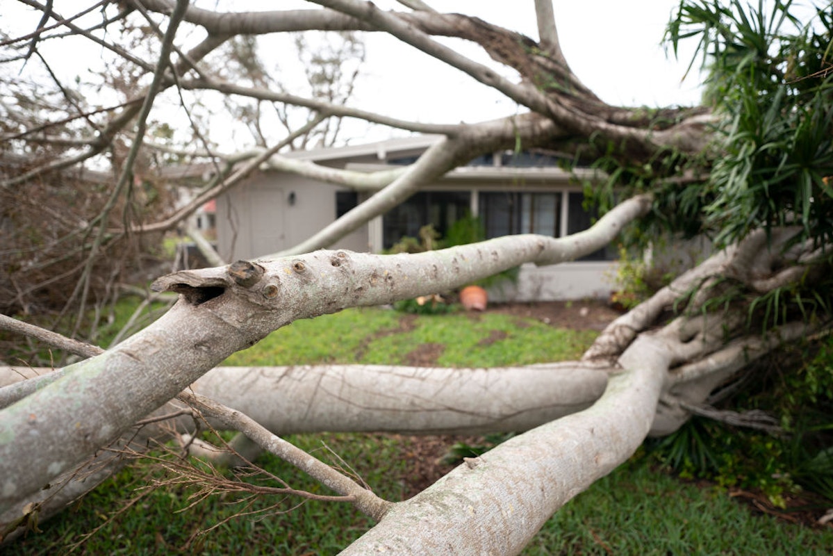 DeSantis, House GOP Investigating FEMA After Official Told Relief ...