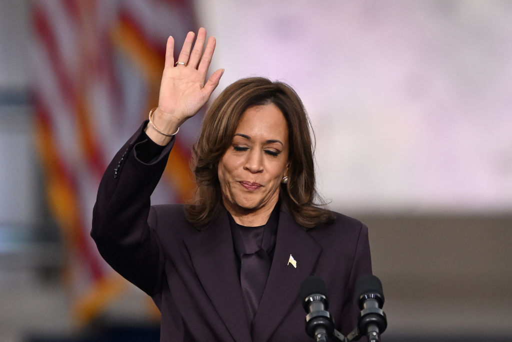 Democrat Strategist Is Not Sold On Kamala 2028: ‘Please Don’t’