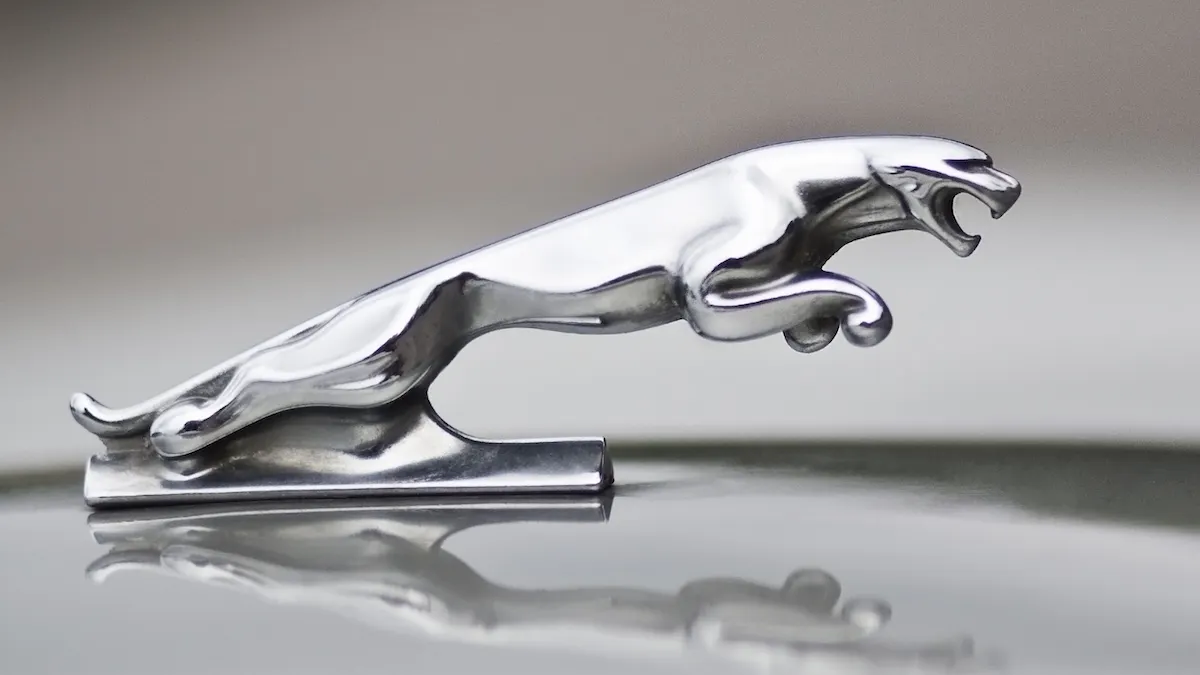 ‘Woke Is Dead’: Jaguar Gets Mocked For Colorful, Car-Free Brand Re-Launch