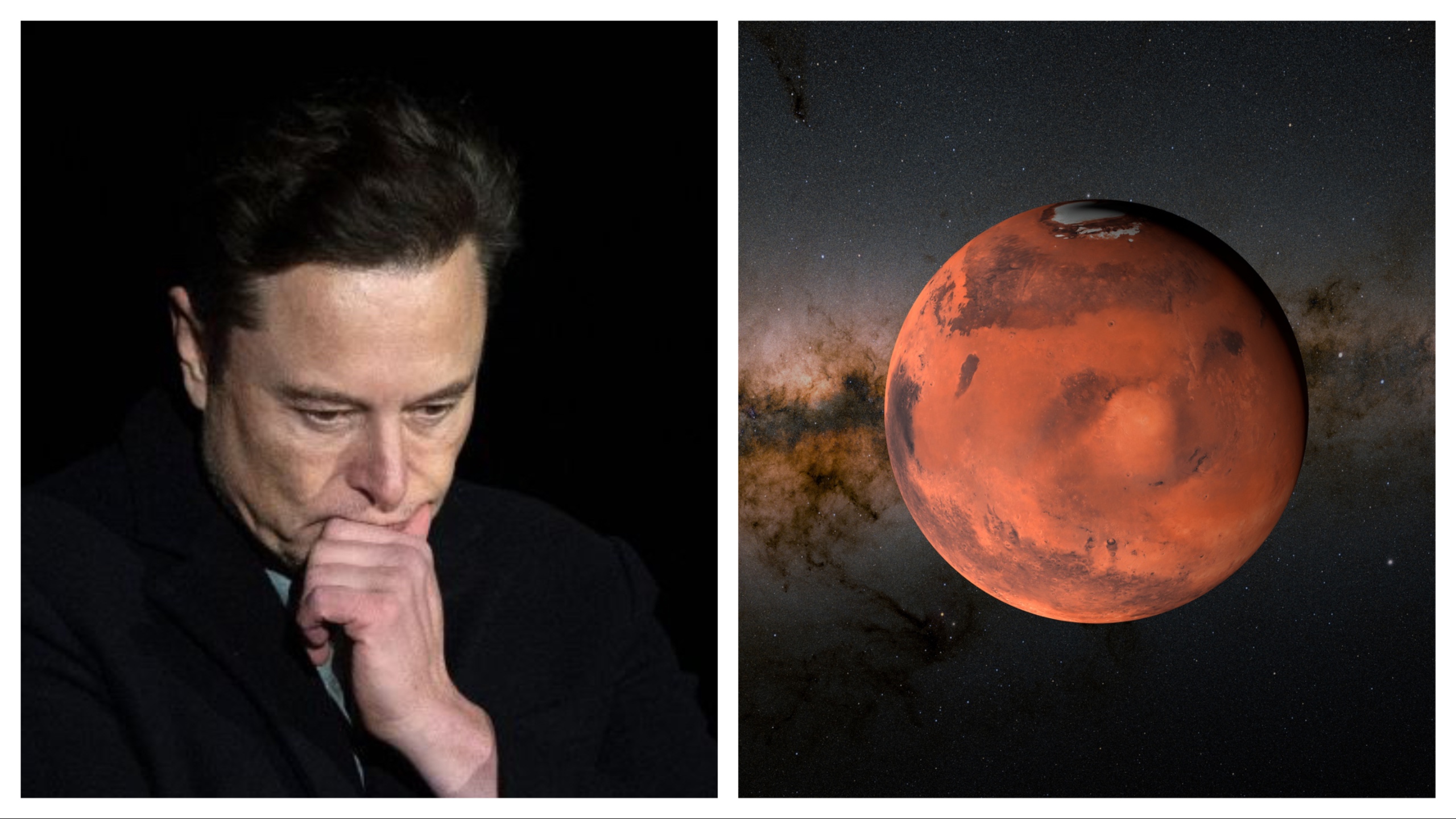 Alert Elon: New Study Suggests Life May Have Existed On Mars