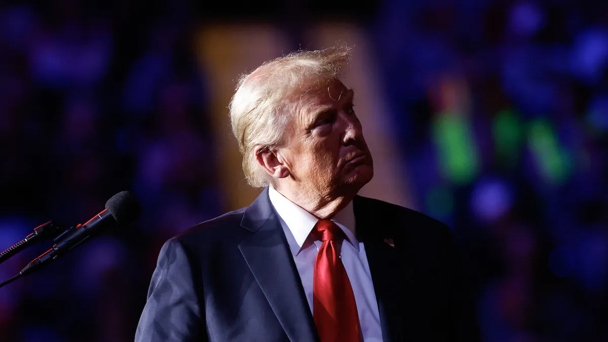 These Celebrities Say They’re Voting For Trump