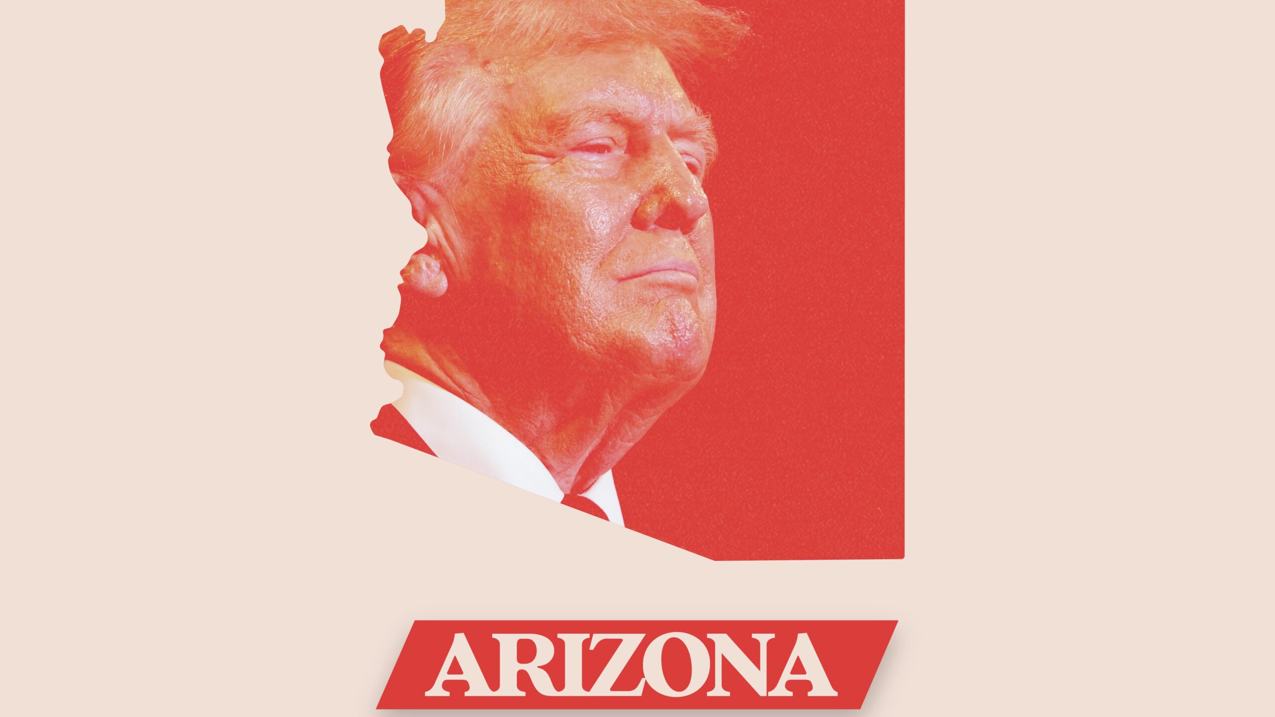 Donald Trump Wins Arizona