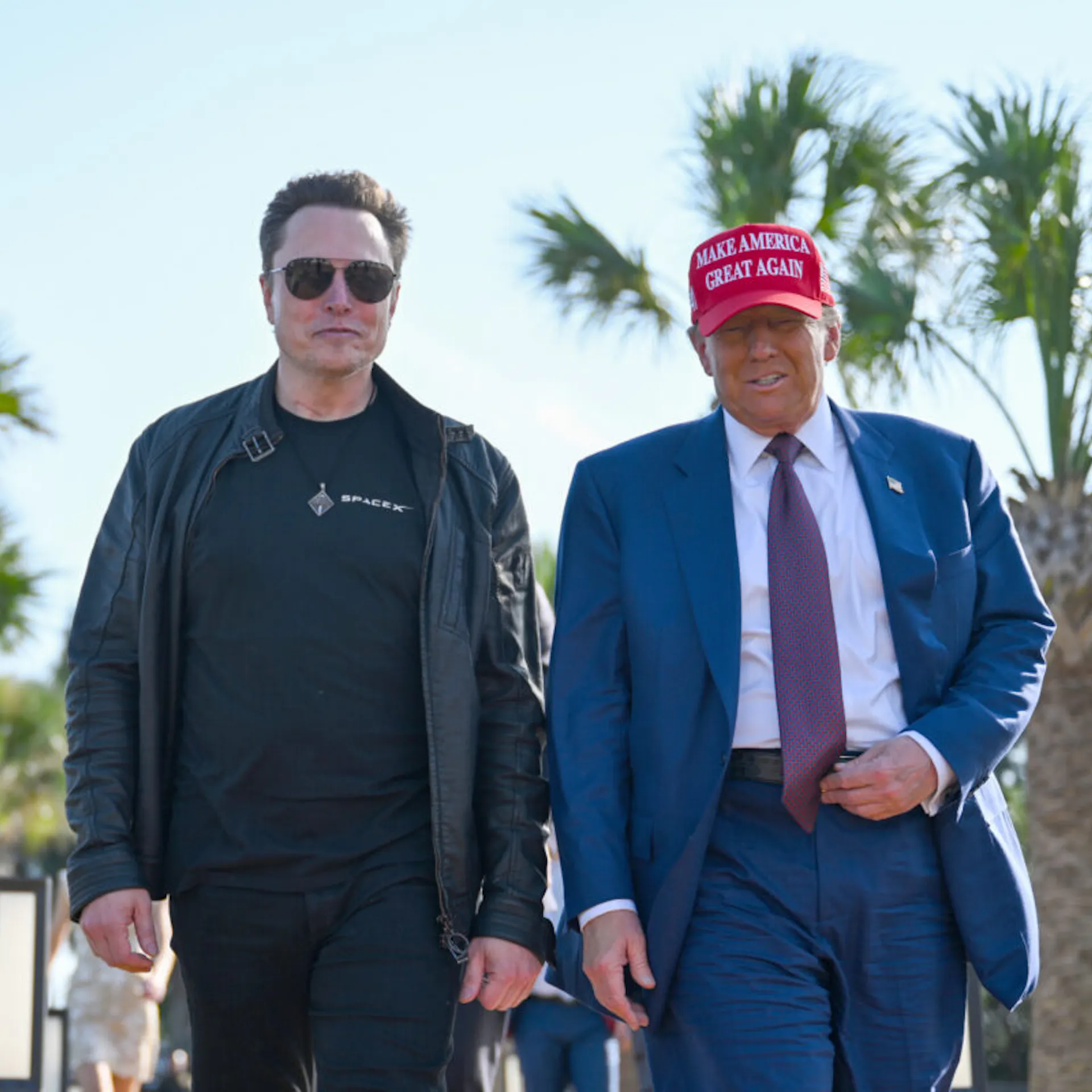 Trump, Musk Team Up To Kill Pork Bill