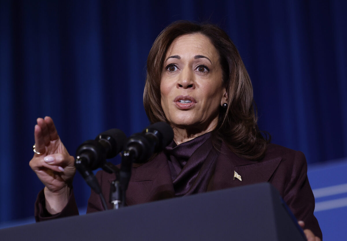 Top Democrat Strategist Obliterates Kamala After Loss