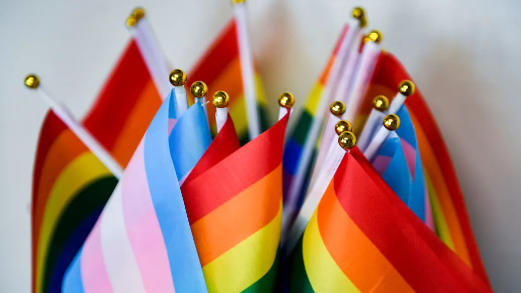 Colorado School Board Could Allow Teachers To Fly BLM, Transgender Flags In Classroom